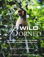 Wild Borneo cover